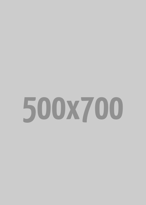 food2_500_700